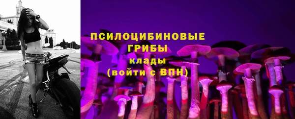 2c-b Пролетарск