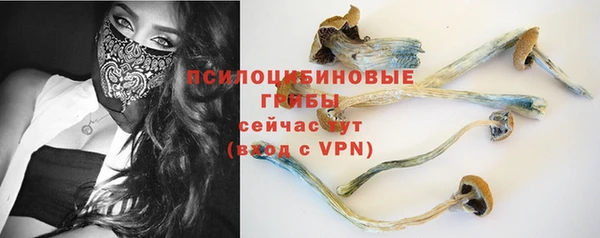 МДПВ Ростов